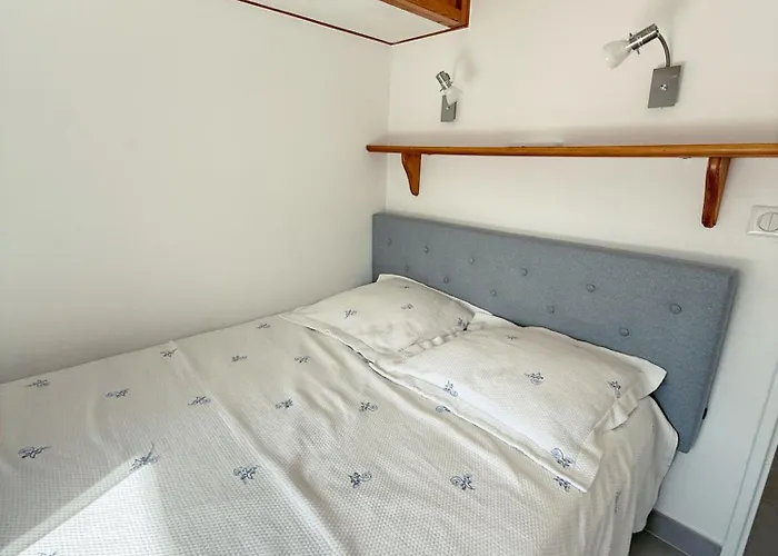 L'olivier Sainte-Maxime